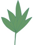 Leaf4